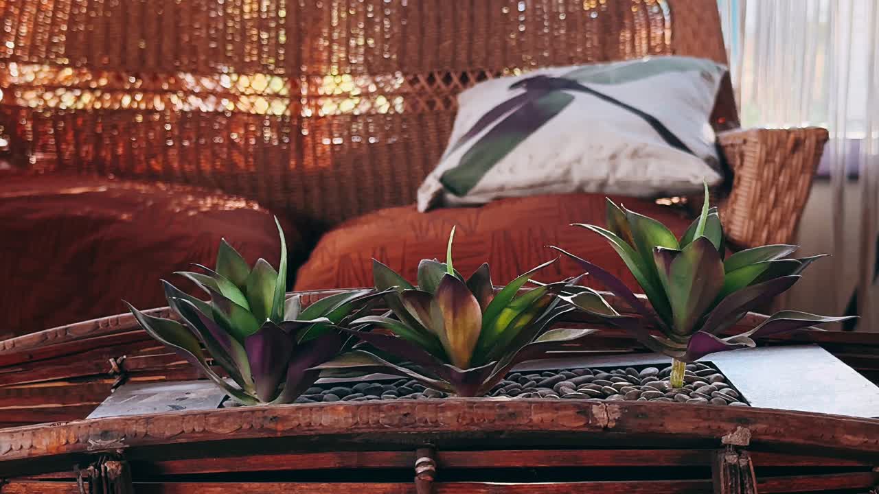 수풀이 있는 아한 거실