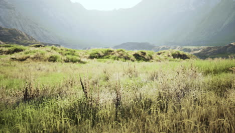 serene grassland landscape with mountains in the background