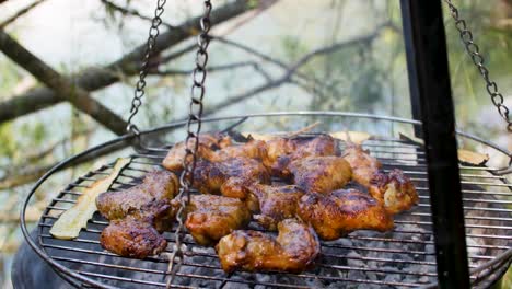 Barbacoa-De-Verano-Con-Amigos