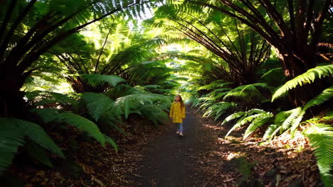 young girl exploring a lush fern forest path