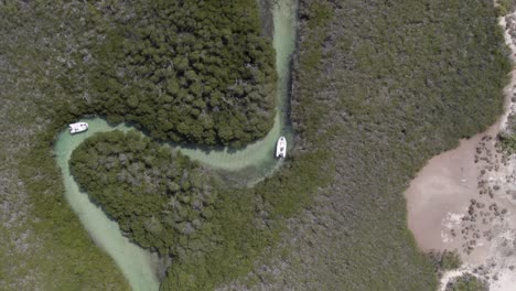 Aerial-cenital-shot-of-a-Boat-in-mangrove