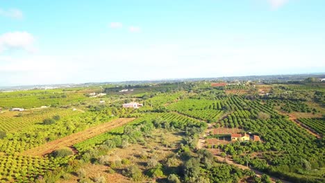 Cinematic-shot-of-orange-fields-in-algarve,-portugal