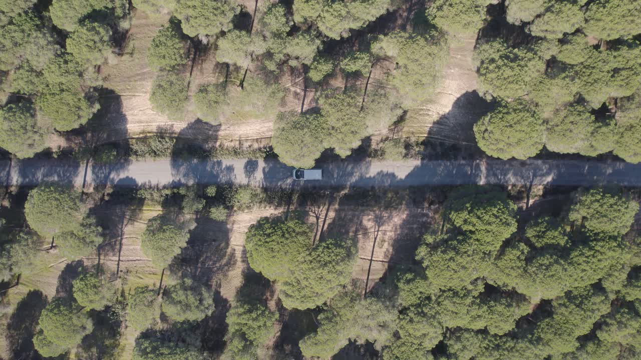 스페인 시골 시골에서 긴 삼림 지대 도로 여행을 운전하는 캠핑카 위의 공중 상승 전망 새눈