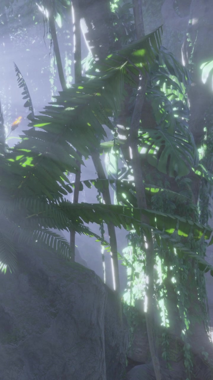 Felci rigogliose e piante luminose in una foresta nebbiosa alla luce del primo mattino.