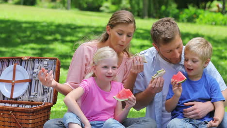 Family-eating-sandwiches-and-slices-on-watermelon-during-a-picnic