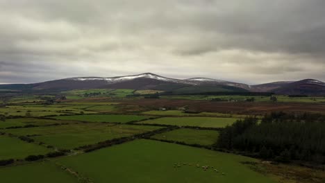 wintery rural calary, wicklow, ireland, february 2020. drone tracks over fields and woodland near kilmacanogue looking west towards snow-frosted wicklow mountains.