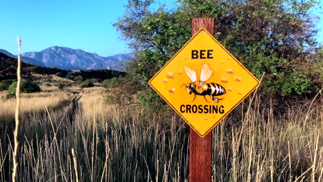 Señal-De-Cruce-De-Abejas-Que-Advierte-A-Los-Excursionistas-De-Abejas-Cercanas