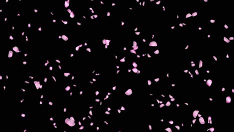 abstract falling red rose petals seasonal confetti blossom flying red rose petals fall floral