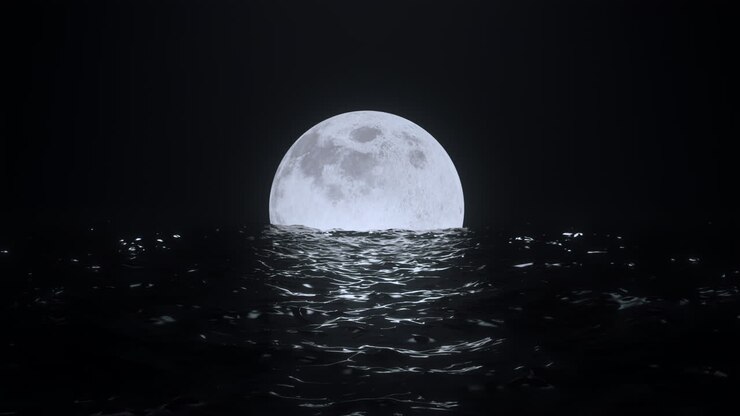 Loop: Lua cheia à noite em boias em águas escuras