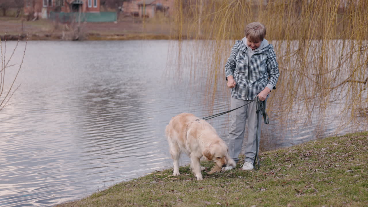 mujer mayor caminando golden retriever por el lago