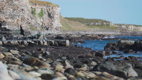 Famous-bird-cliffs-near-the-town-of-Vadso,-Norway---a-well-known-spot-for-birdwatching