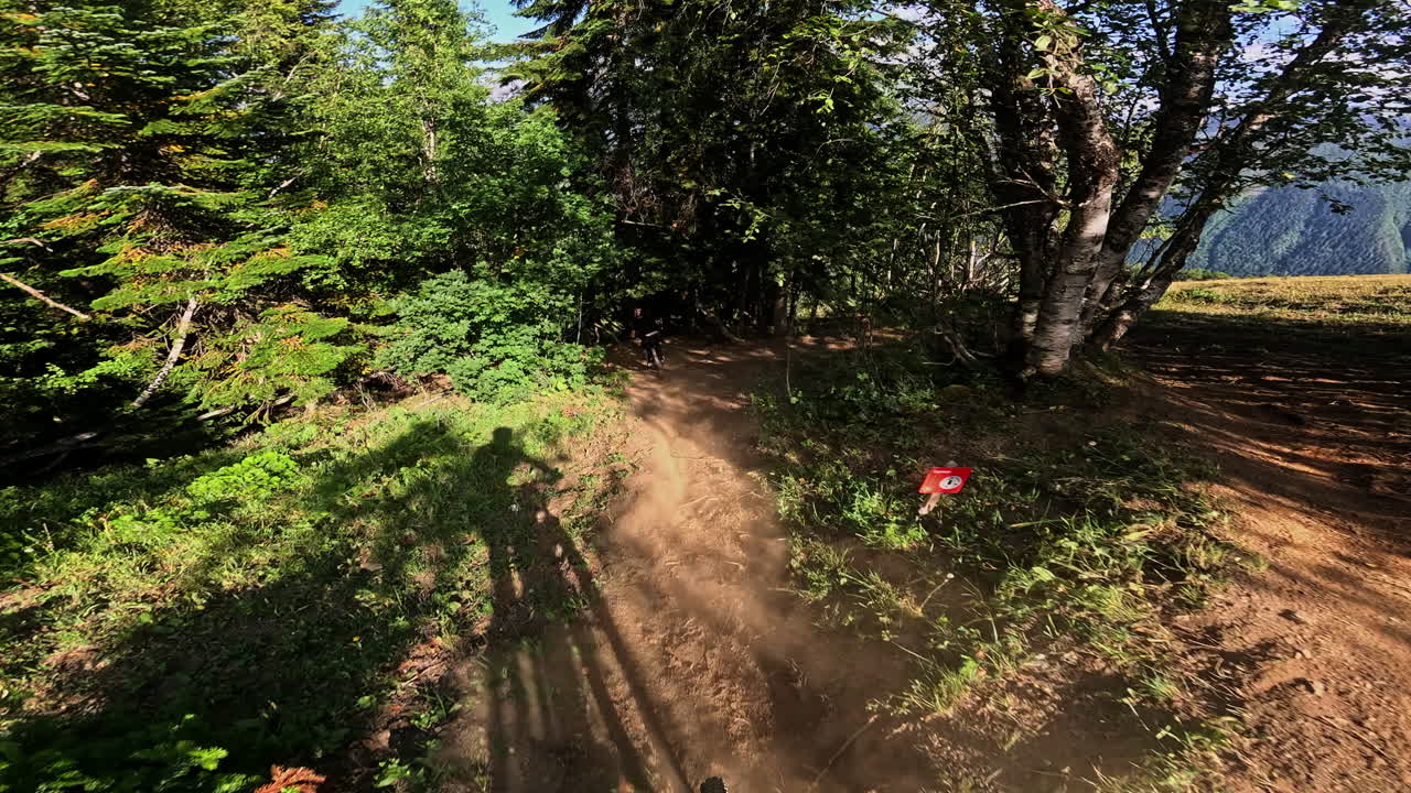 POV: Mountain bike in discesa su un sentiero nel bosco in una giornata di sole