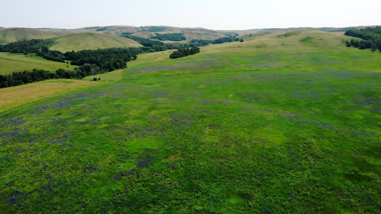 Rolling Hills and Green Field Landscape