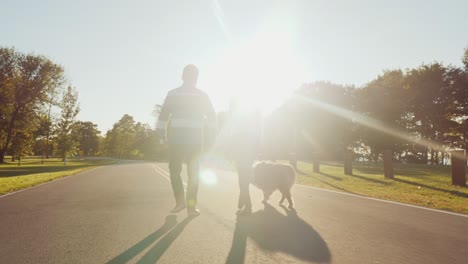 rear view: couple are walking in the park with a dog. steadicam shot