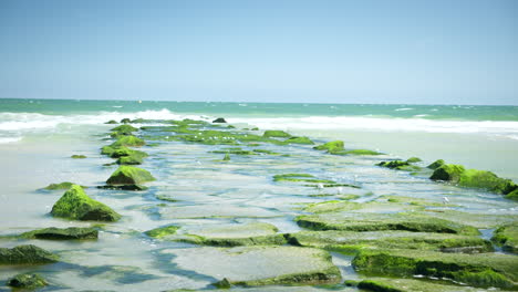 waves play over mossy vibrant green rocks