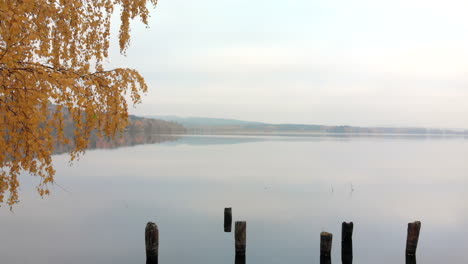 revealing a mysterious lake with several poles showing in the water