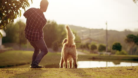 Un-Apuesto-Joven-Jugando-A-Buscar-Con-Su-Perro