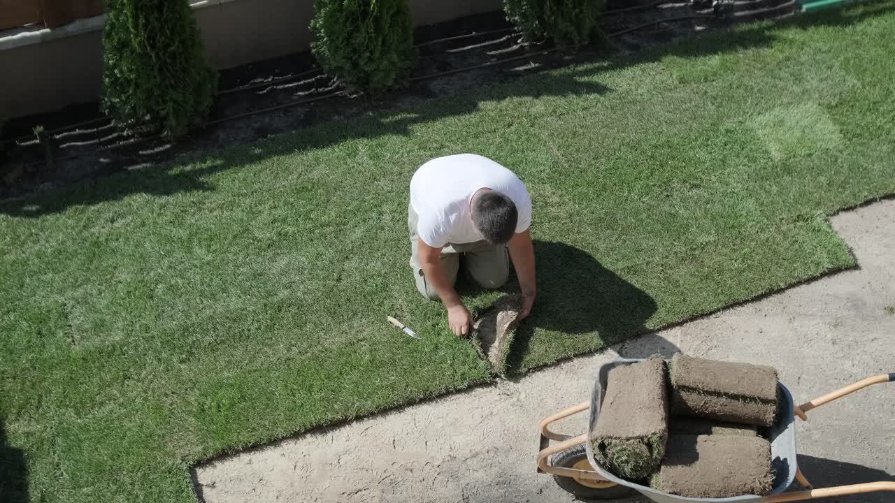 잔디 설치 및 조경 프로젝트를 위해 뒷마당 정원에 소드 풀을 는 사람, 주거 마당의 신선하고 푸른 잔디를 위해 집 개선 및 야외 유지에 초점을 맞추고 있습니다.