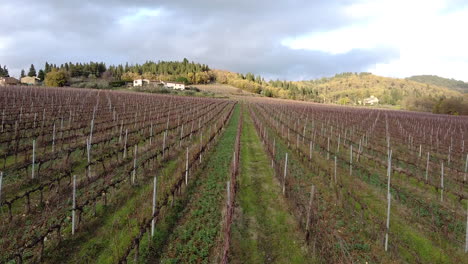 Reihen-Von-Reben-Im-Chianti-weinberg-Im-Winter,-Luftdrohnenaufnahme