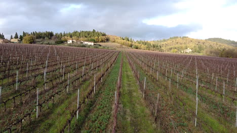 hileras de vides en el viñedo de chianti en invierno, toma aérea de drones