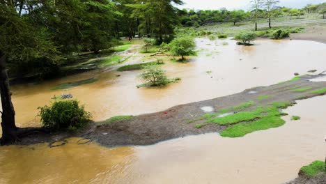 bombas de agua de riego que extraen agua del río inundado