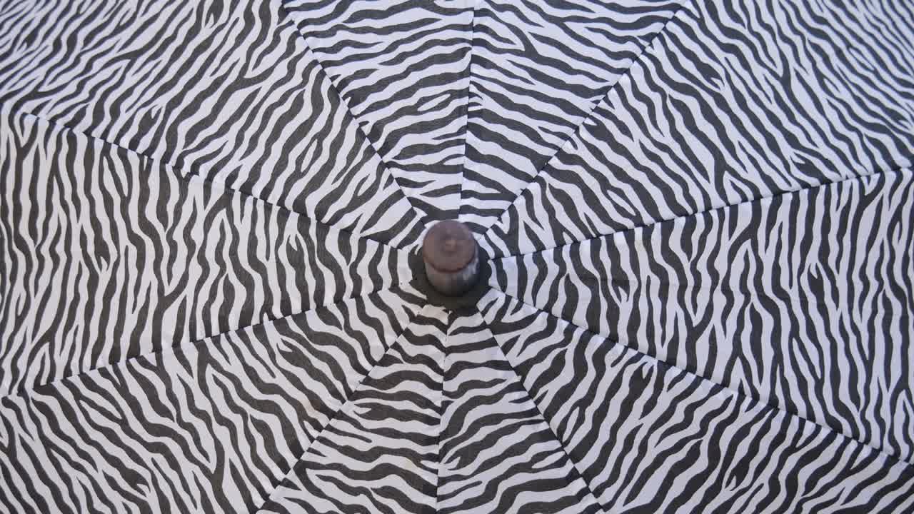 Black and white open spin and hypnotize.