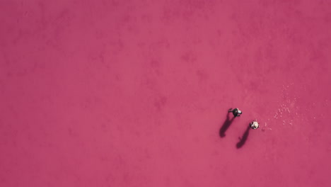 people exploring the wonders of a naturally pink lake