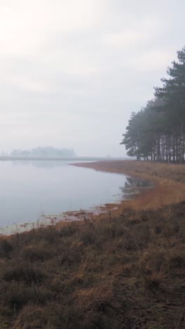 misty morning landscape by a lake