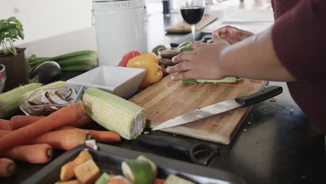 Close up of african american plus size woman cleaning waste in kitchen, slow motion