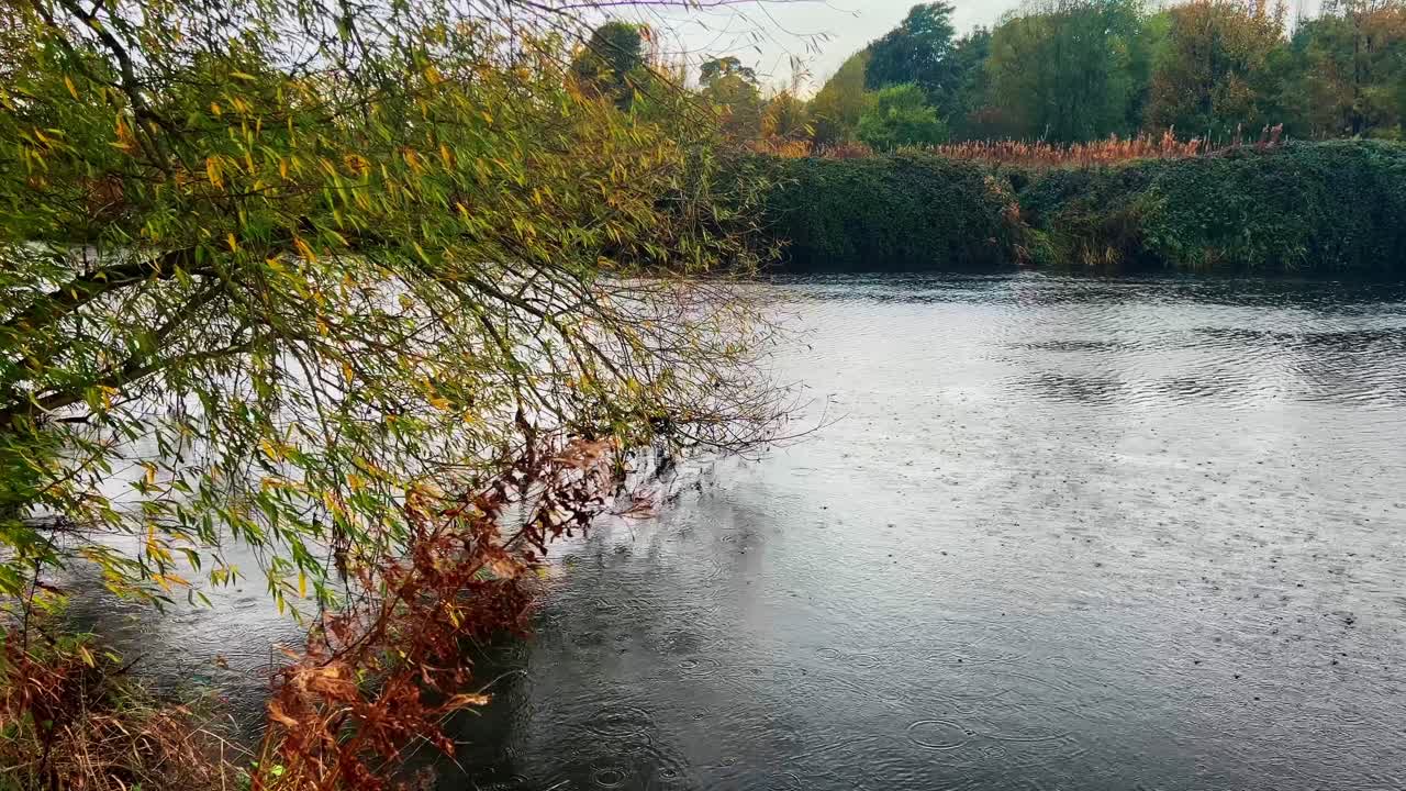 imágenes de la orilla del río y del río filmadas bajo la lluvia, con árboles y agua en movimiento lento