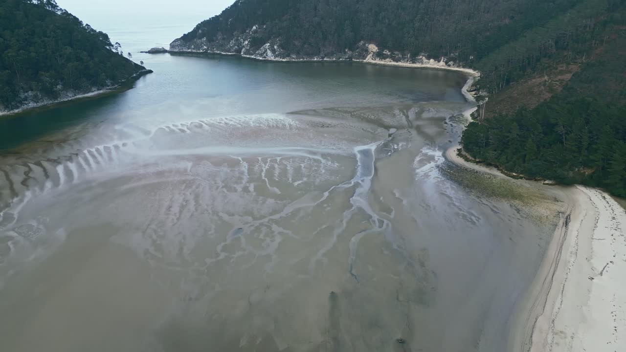 울창 한 산 들 사이 에 있는 바다 의 모래 해변 의 공중 전망