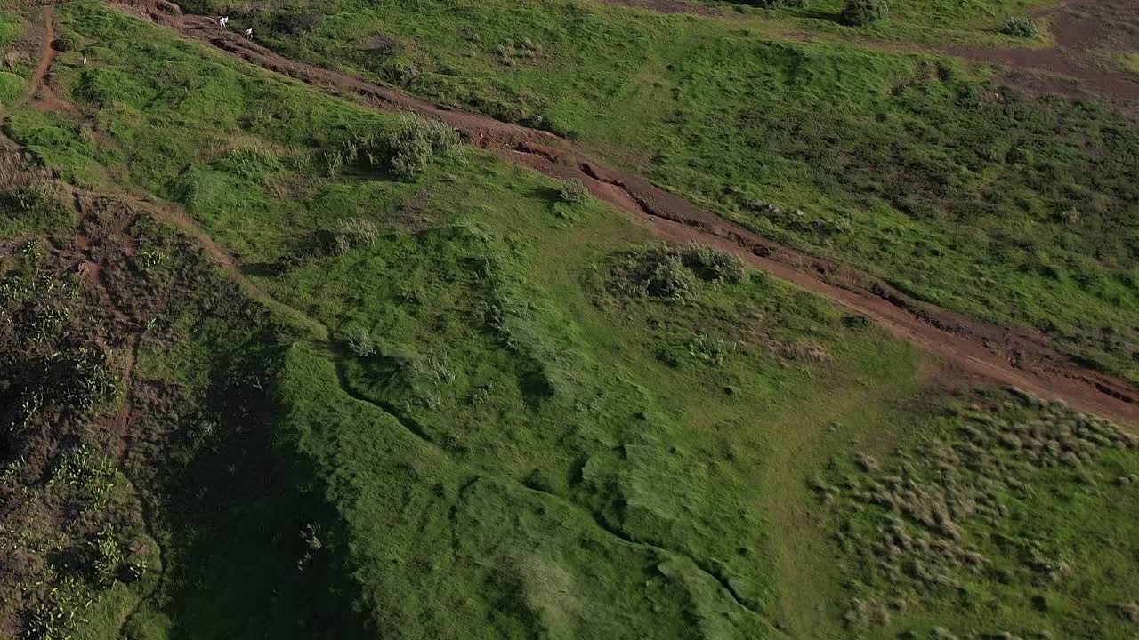 Drone view of lush green landscape in Madeira, Portugal