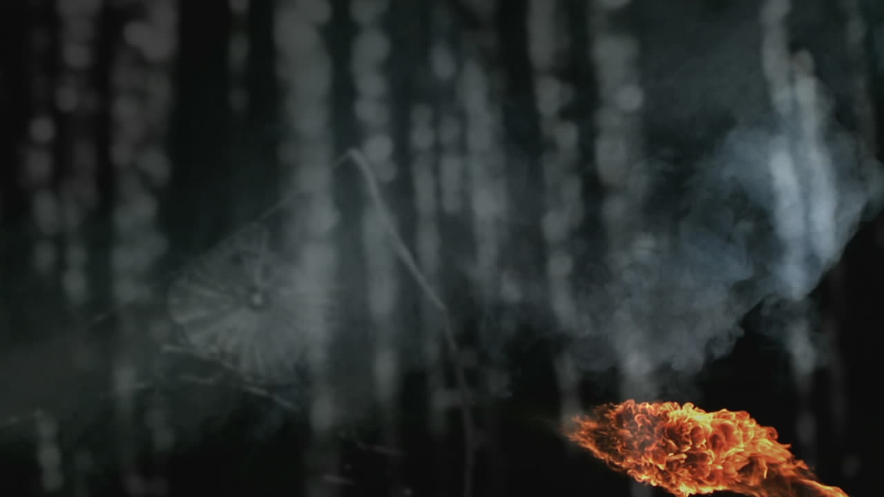 숲의 나무 위에 불꽃의 애니메이션