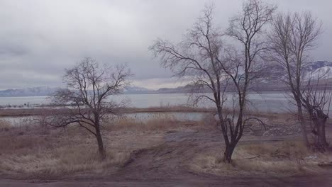 pull back aerial view of a large lake with mountains all around covered in snow - drone pulls back dramatically between two trees