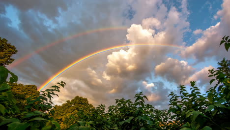 double rainbow over trees