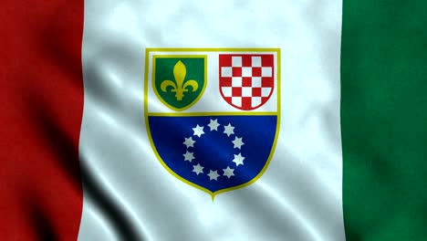 la bandera de la federación de 4k sin costuras