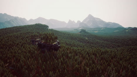 exploring vast green forests beneath majestic mountain peaks in daylight