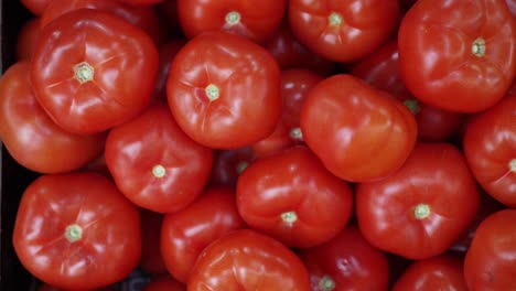 una pila de tomates rojos