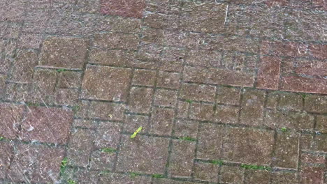 intense summer rain pours down on a brick pavement in jelgava, latvia, as part of a severe storm and flooding event