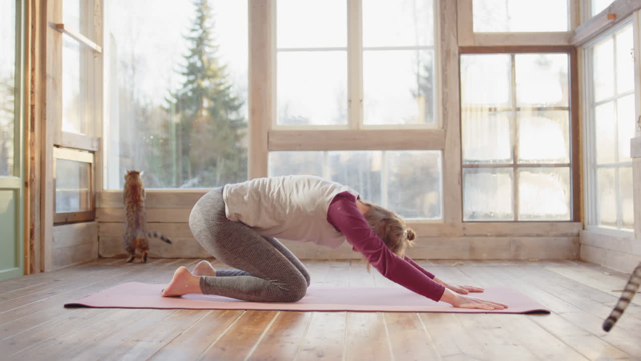Woman does relaxing yoga exercises in sunroom with two playful Bengal cats