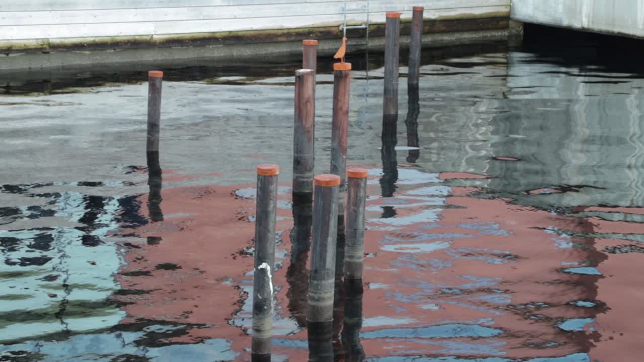 arte en el puerto de la ópera de stavanger