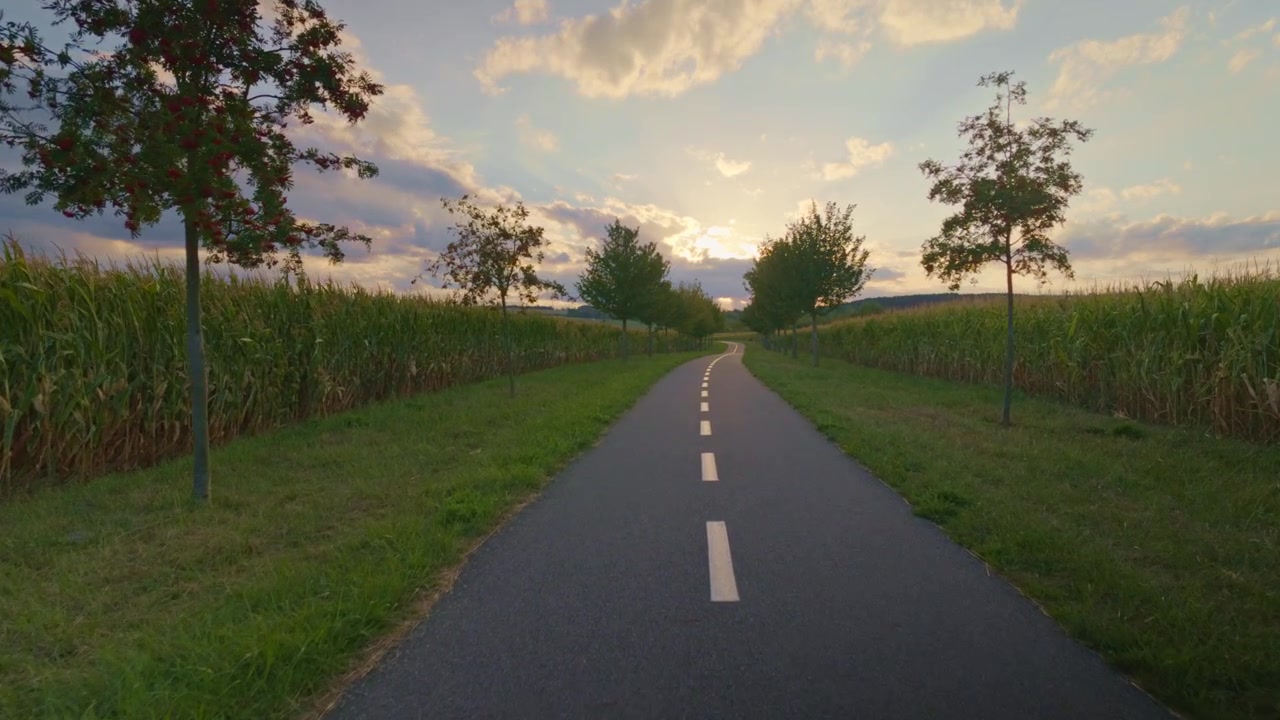 Forward motion along a straight road bordered by trees and cornfields.
Sunset light creates a peaceful rural landscape.