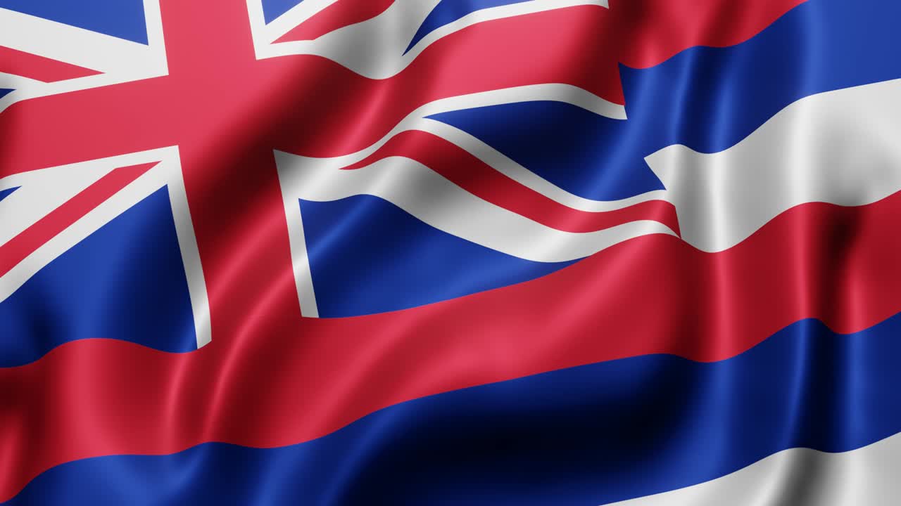 하와이 미국 국기 흔들기