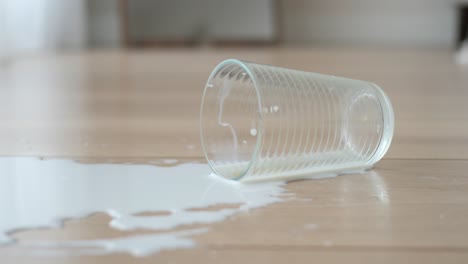 spilled milk on the floor