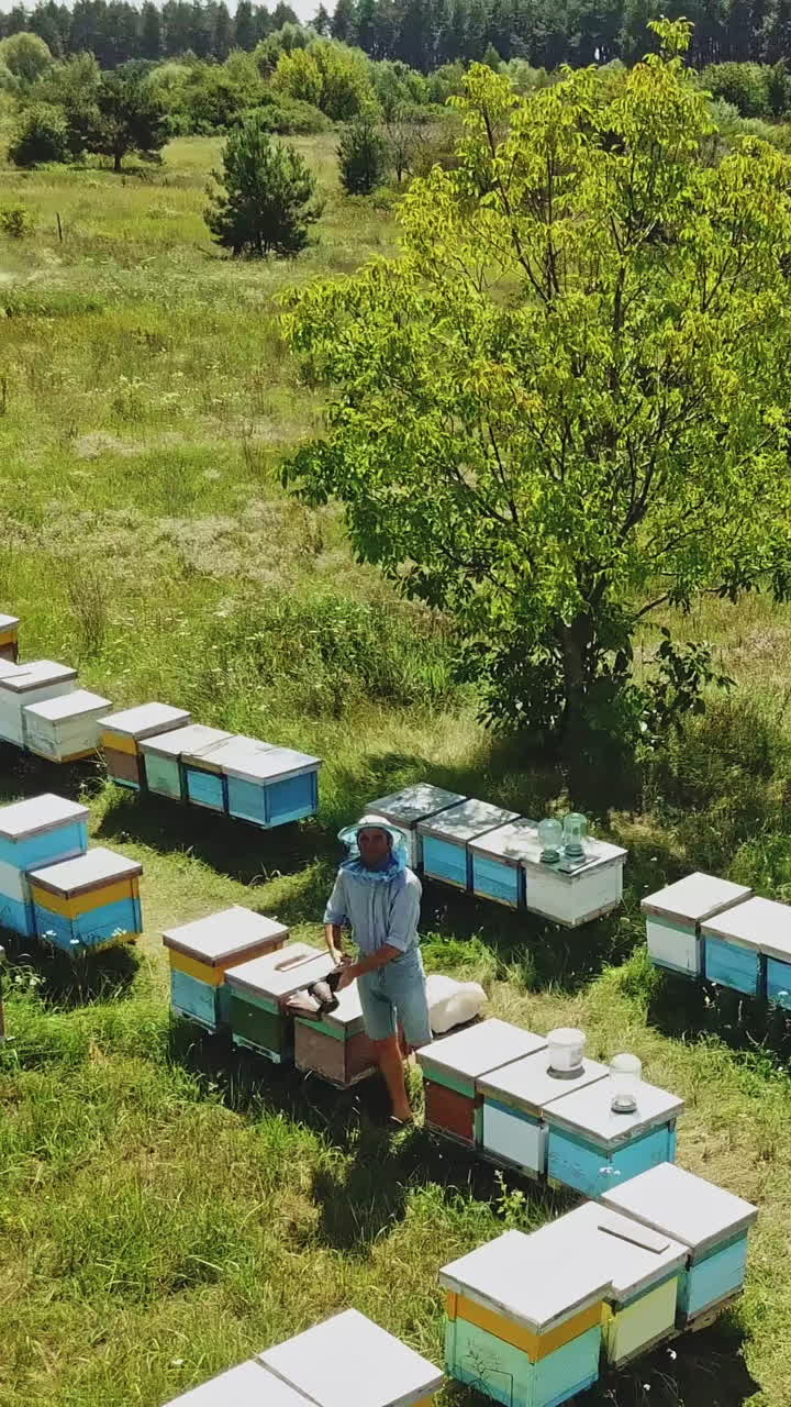 An aerial fly in drone shot of a beekeeper harvesting honey from hives. Bee hives in a forest glade Vertical video