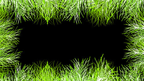 Sommerblatt-Grasrahmen-Loop-Animationsvideo,-Transparenter-Hintergrund-Mit-Alphakanal