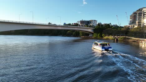 drone shot tracking city cat boat on brisbane river as we pass underneath m3 expressway bridge, with kangaroo point cliffs and brisbane cbd in background