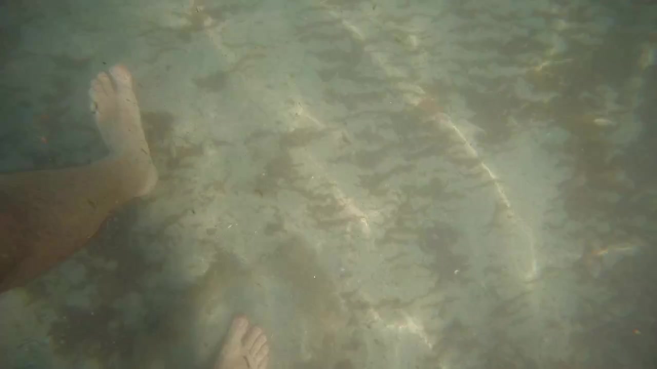 Shadow of person holding a phone reflecting on the rippling surface of clear shallow ocean water over sandy bottom