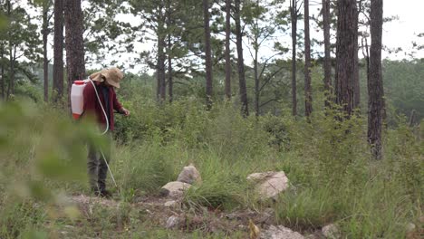 long shot of a man forest ranger working with a backpack sprayer in the forest, he wears a red shirt and a hat