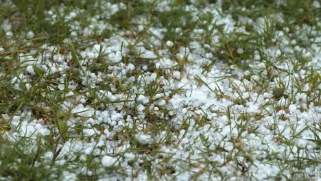granos de granizo cayendo a la hierba de cerca
